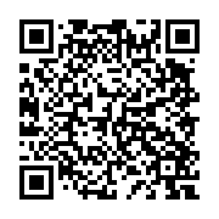 QR code for plate D4X 446