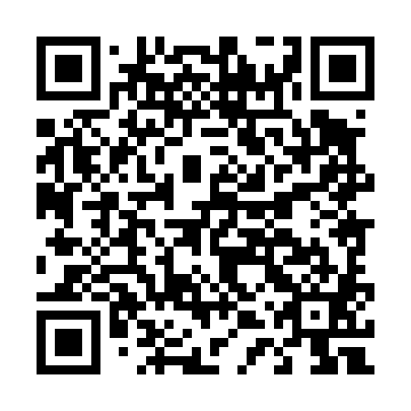 QR code for plate D4X 481