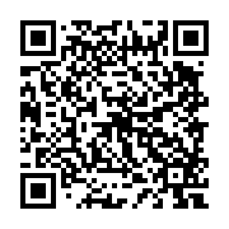 QR code for plate D4X 486