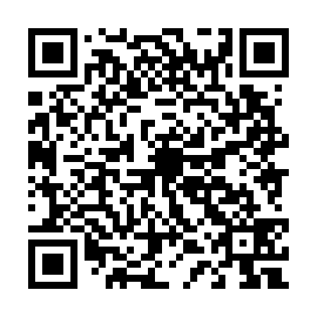 QR code for D4X739