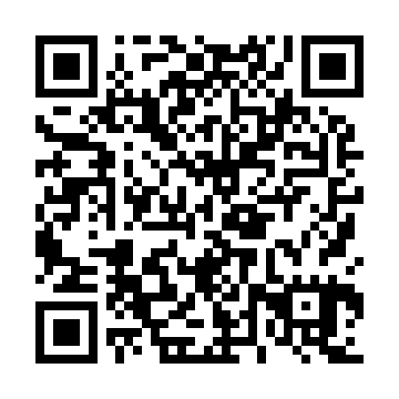 QR code for D4X925