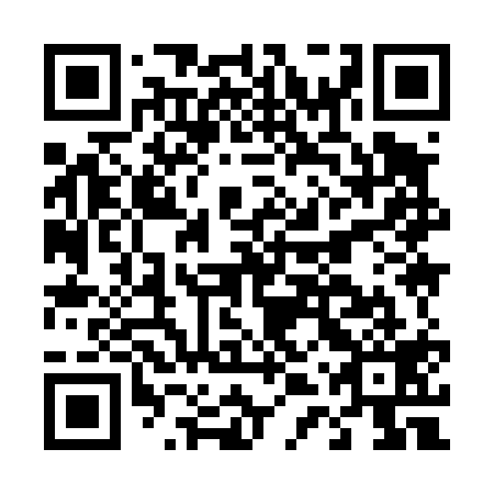 QR code for D4Y419