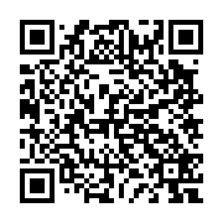 QR code for D4Z 029