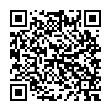 QR code for D4Z 383