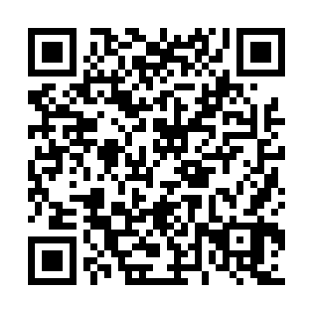 QR code for D4Z 462