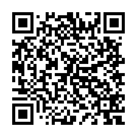 QR code for D4Z 519