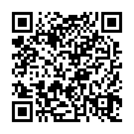 QR code for D4Z208