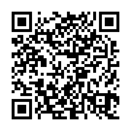 QR code for plate D4Z 221