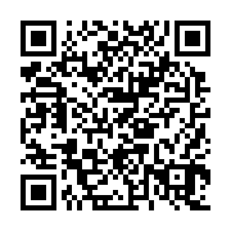 QR code for D4Z302