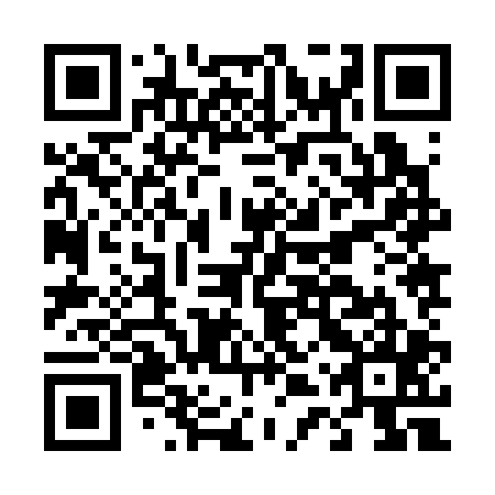 QR code for D4Z305