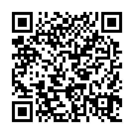 QR code for plate D4Z 345