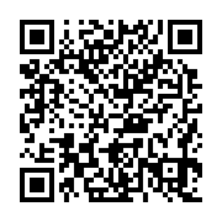 QR code for D4Z371