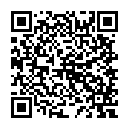 QR code for plate D4Z 585