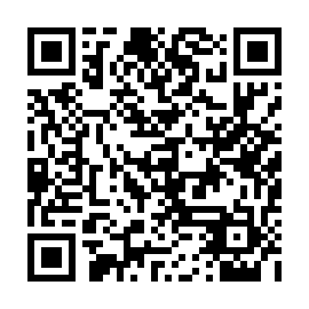 QR code for D5A533