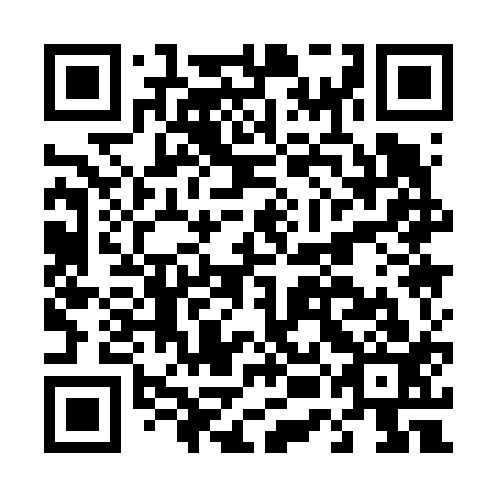 QR code for plate D5A 613