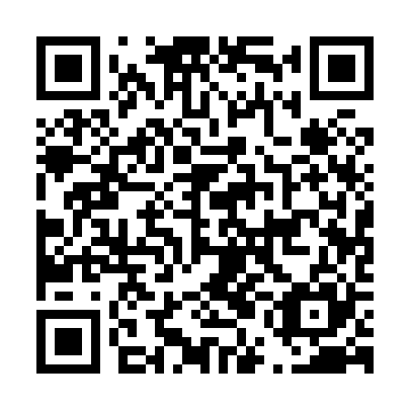 QR code for plate D5A 825