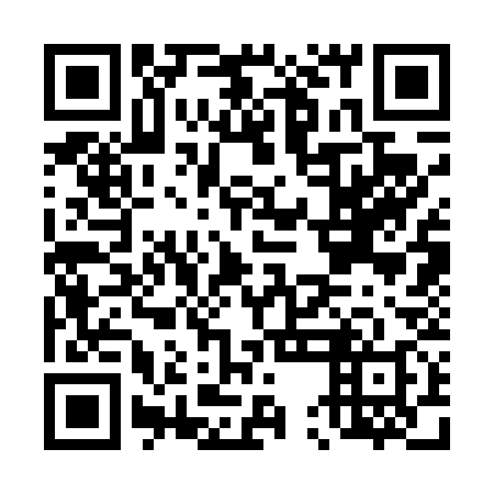 QR code for plate D5C 438