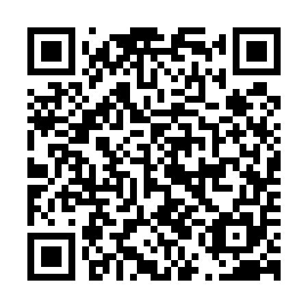 QR code for plate D5C 555