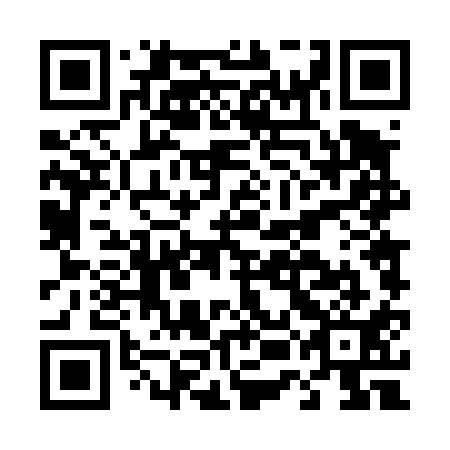 QR code for D5D411