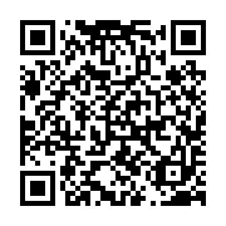 QR code for plate D5F 293