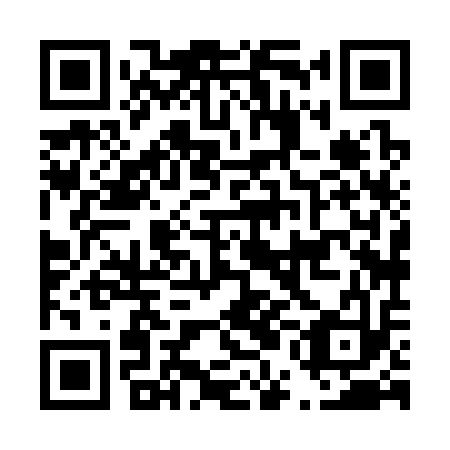QR code for D5H 313