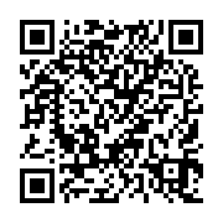 QR code for D5I 911