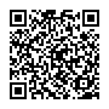 QR code for plate D5I 870