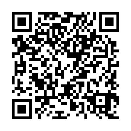QR code for D5L 381