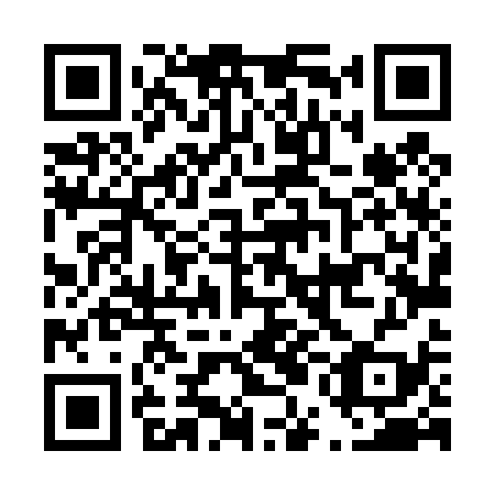 QR code for D5L 439