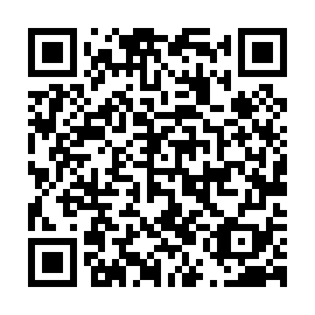 QR code for D5L079