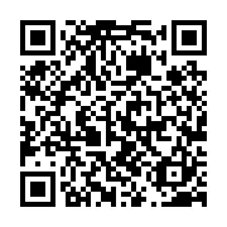 QR code for D5L223
