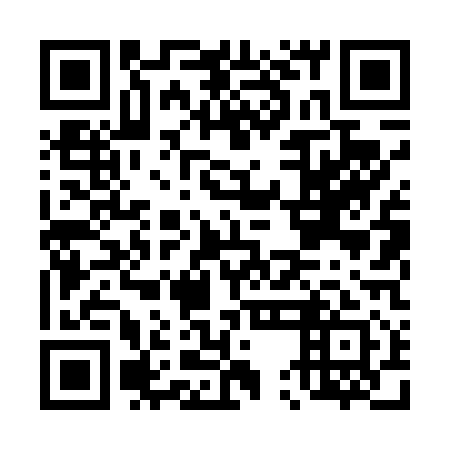 QR code for D5L411