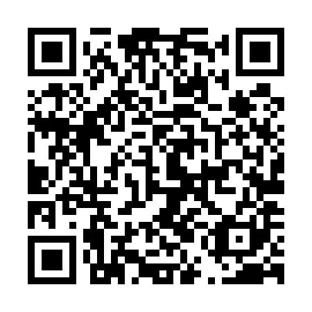QR code for D5L581
