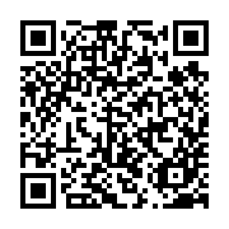 QR code for D5S 687