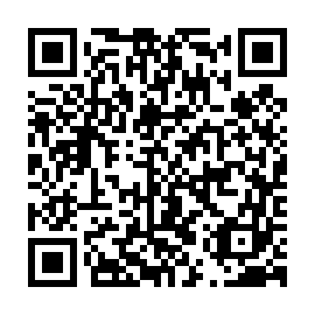 QR code for plate D5S 463