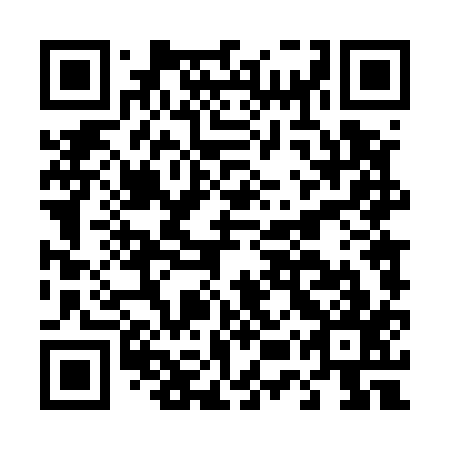 QR code for D5T 517