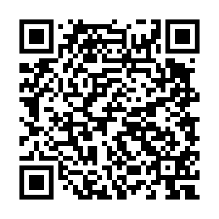 QR code for D5T411