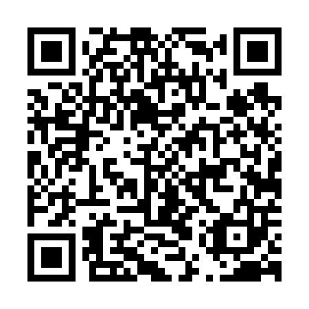 QR code for plate D5T 603