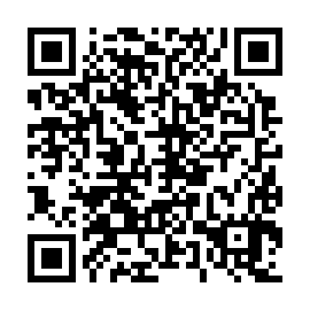 QR code for plate D5V 387