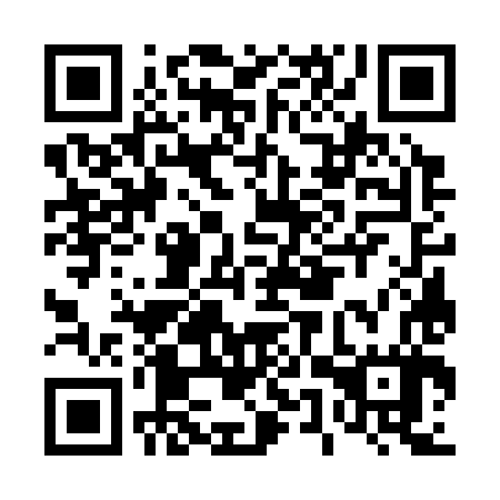 QR code for D5W 387