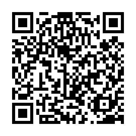 QR code for D5W411