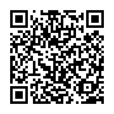 QR code for D5X 419
