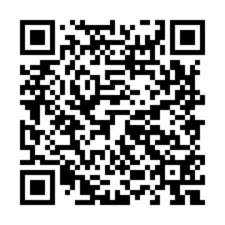 QR code for D5X 950