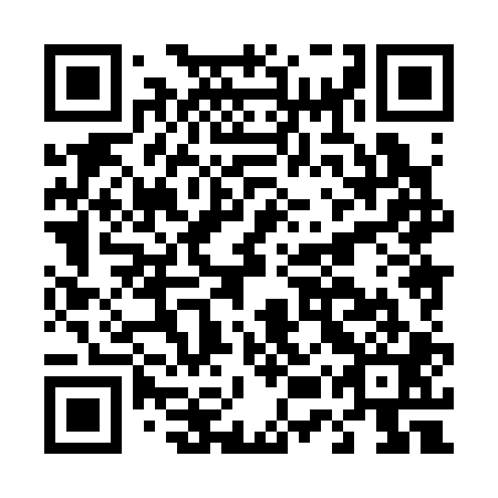 QR code for plate D5X 301