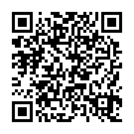 QR code for D5X335