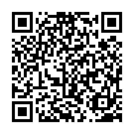 QR code for D5Z 533