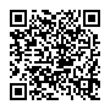 QR code for plate D5Z 250