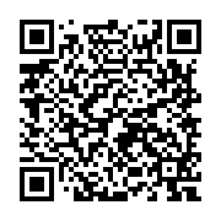 QR code for plate D5Z 992