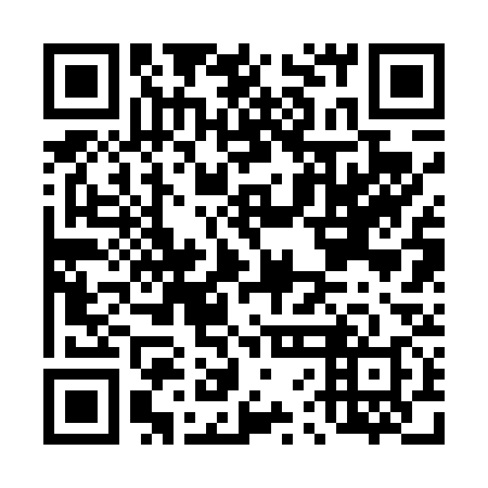 QR code for plate D6B 438