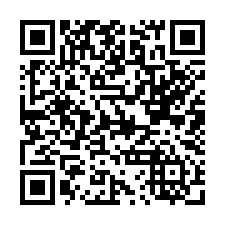 QR code for D6C 394